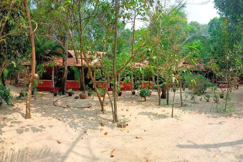 Abba Marari Beach Villas & Homestay Mararikulam Alappuzha 외부 사진