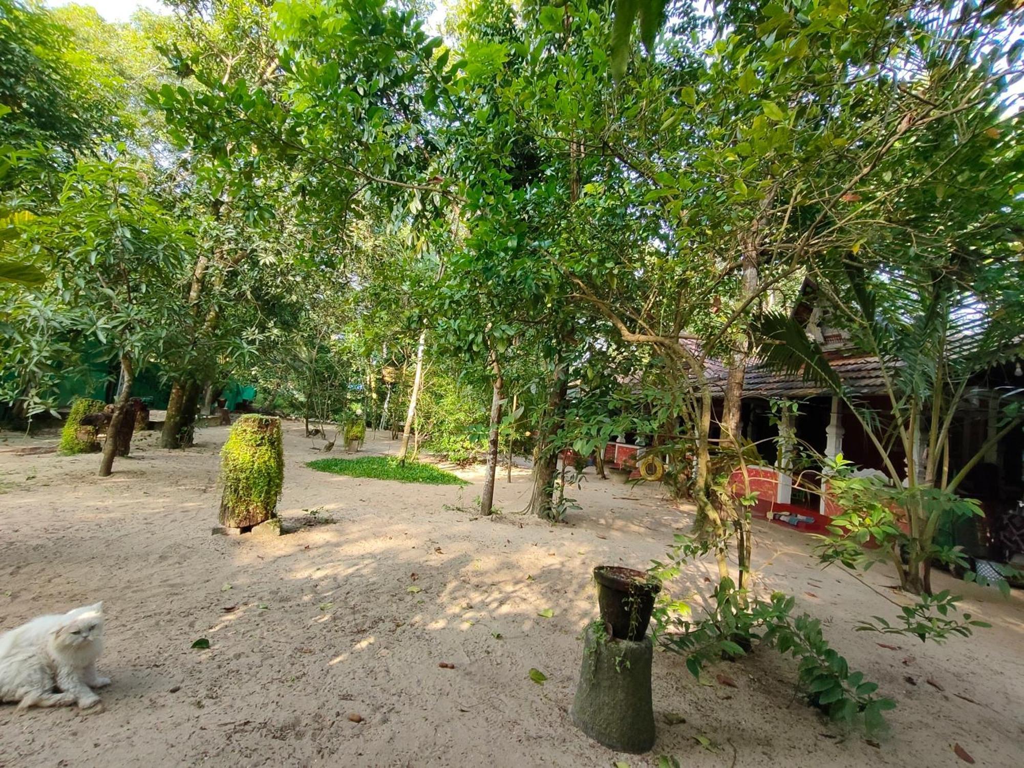 Abba Marari Beach Villas & Homestay Mararikulam Alappuzha 외부 사진